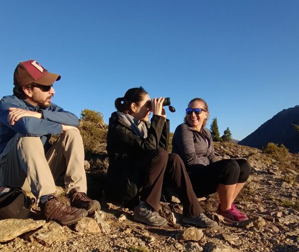Atardecer entre Lengas: Hiking Guiado - Imagen 2